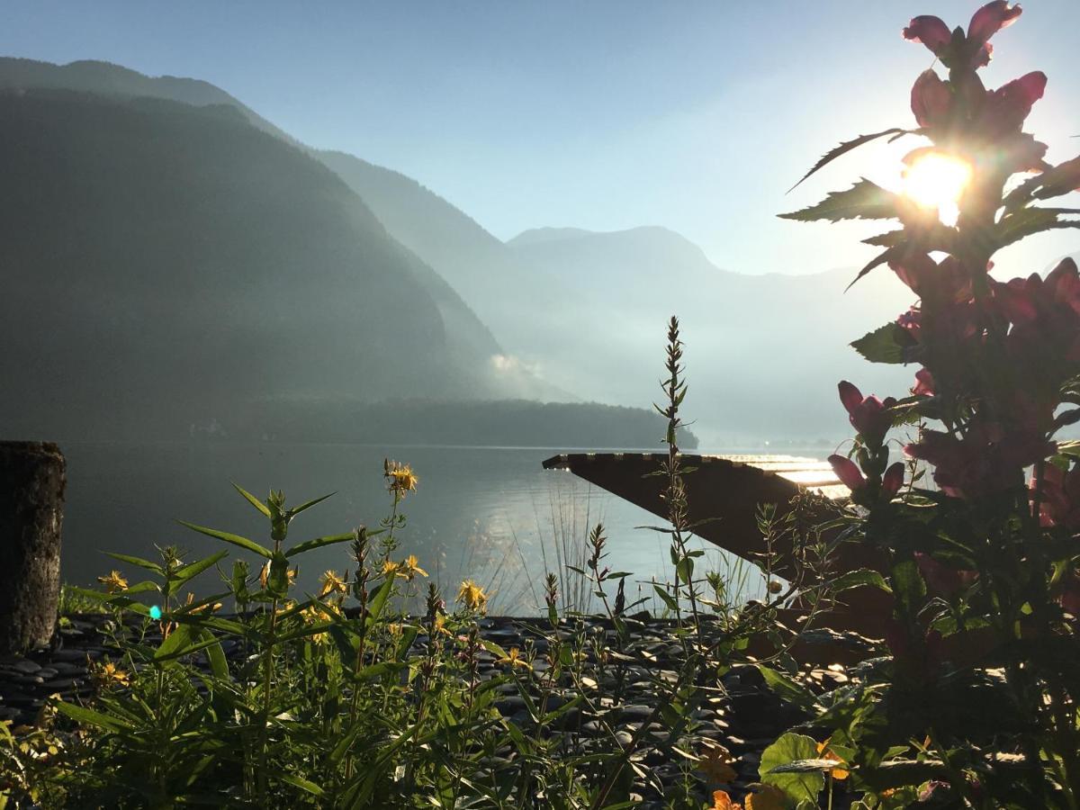 Glueck Am See - Apartment Mit Seezugang 할슈타트 외부 사진